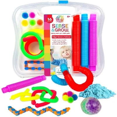 Sensory Fidget Carry Case, Toys inc